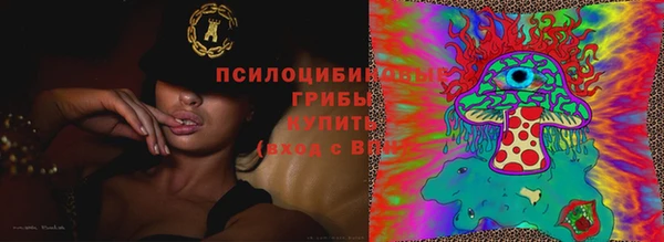 круглые Алзамай