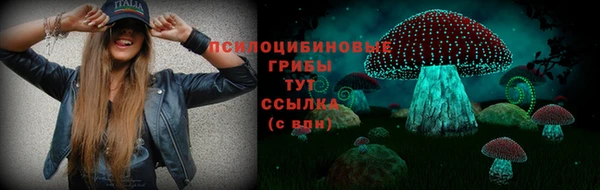 круглые Алзамай