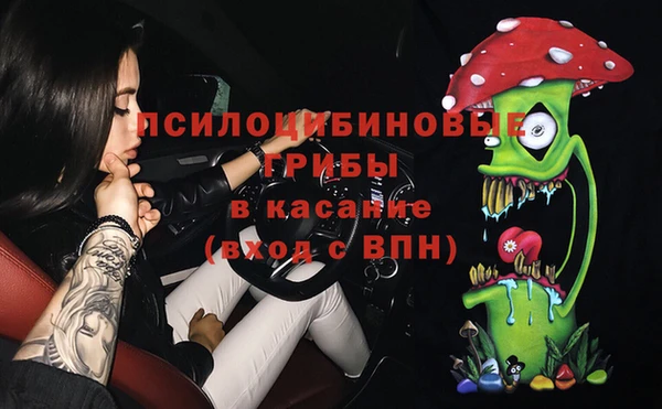 круглые Алзамай