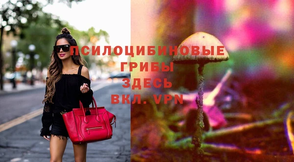 PSILOCYBIN Алексеевка