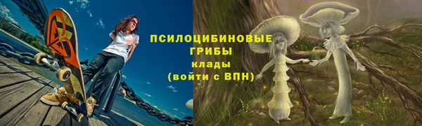 PSILOCYBIN Алексеевка